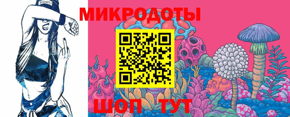 Галлюциногенные грибы MAGIC MUSHROOMS Ставрополь