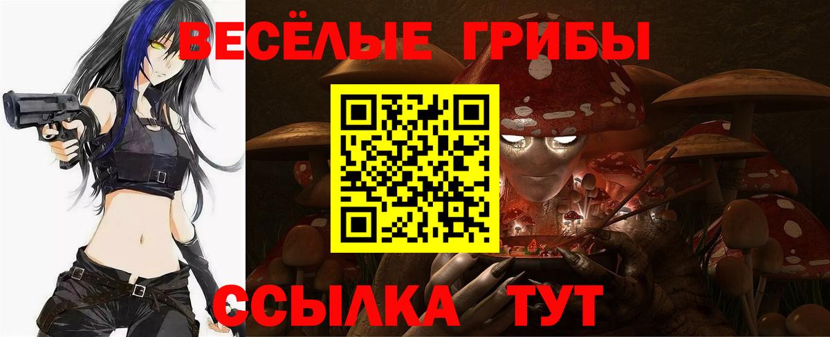 Галлюциногенные грибы Magic Shrooms  Вход с VPN  Псилоцибиновые грибы MAGIC MUSHROOMS  Ставрополь 